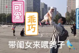 宝爸带闺女来喂鸽子🐦，画面记搞笑又温馨，让我还有点吃醋视频封面