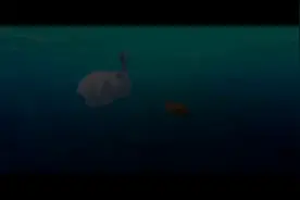 熊出没将在2026年，停播！😭
这是官方给出的。
熊出没，你们终