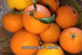 爱吃橙子的你注意 每天吃一个橙子竟然有5种好处 但要注意两点！视频封面