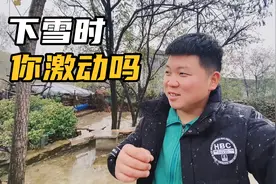河南南阳：不知道啥原因，每次下雪内心都无比激动，有同感的吗？视频封面