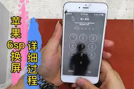 苹果6S Plus换屏全过程，你也可以会哦！带你一起学习。视频封面