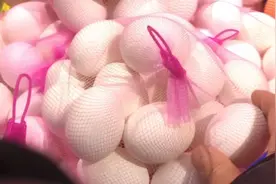 乌鸡肉是黑色的，乌鸡蛋为啥是白的呢？