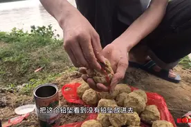 防挂底爆炸钩，教你上饵，干货收藏起来#钓友记#