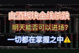 跨年行情就此结束了吗？白酒下跌原因终于找到了，散户需要注意!视频封面