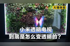 【大锤体验】小米透明电视到底是怎么变透明的？