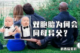 从一个母体诞生的双胞胎，会有两个不一样的父亲？这到底是为什么视频封面