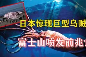 富士山喷发“前兆”？巨型乌贼惊现日本海滩，7小时地震3次引担忧视频封面