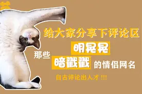 来给大家分享下那些 暗戳戳明晃晃的情侣网名#神评论神回复视频封面