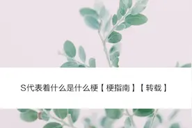 S代表着什么是什么梗【梗指南】【转载】视频封面