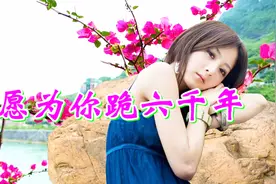 催泪DJ情歌《愿为你跪六千年》太伤感了，听一回哭一回！非常好听视频封面
