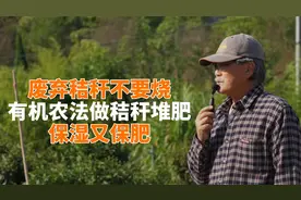 废弃秸秆不要烧，拿来做有机堆肥，保湿又保肥！