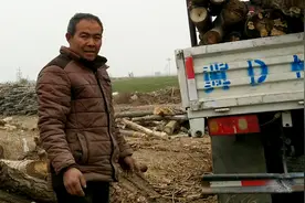 河北大叔到河南农村收木头，一车能挣多少钱？听听他怎么说视频封面