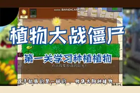 植物大战僵尸，种植向日葵 搜集阳光，种植豌豆射手，打败小僵尸