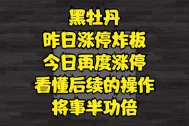 黑牡丹，最新主力讲解，最新信号视频封面