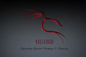 nmap使用脚本扫描web服务器，获取HTTP头组成