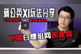 并不是那么推荐的设备：蒲公英X1的玩法分享，解决配置难点！