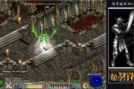 暗黑破坏神2 圣骑士 你们要人硬刚物理职业来了（双热圣骑）8