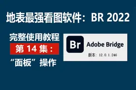 地表最强看图软件：BR2022 完整教程第14集-"面板"操作@头条摄影