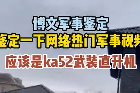 鉴定一下网络热门军事视频 毛熊的鳄鱼武装直升飞机视频封面