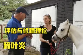 蹄叶炎——评估与修蹄理论