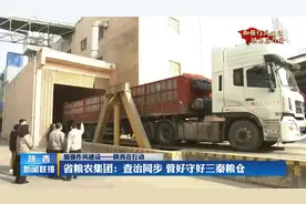 陕西省粮农集团：查治同步  管好守好三秦粮仓视频封面