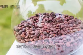 睡不着、睡不好？中医推荐一味助眠好药，养血安神 | 奇妙的中医视频封面