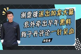李连杰决心改回中国籍，为何难如登天，甄子丹道出实情视频封面