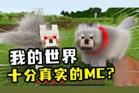 我的世界：十分真实的MC？给狗吃骨头，狗会褪掉杂毛，长出新毛
