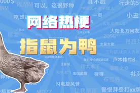 【网梗课代表】指鼠为鸭是什么梗？视频封面