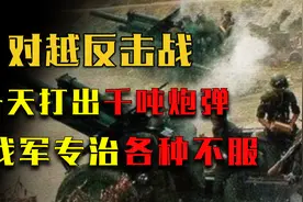 对越反击战珍贵原声影像，我军一天打出3400吨炮弹，彻底打服越南视频封面