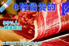 6种最贵的肉，有一种乌鸡肉和猪腿稳居前二，我的眼界又打开了视频封面