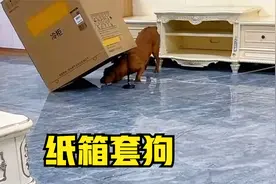 姥爷费尽心机花样“套狗”，小迷糊：好玩，我快吃饱了！