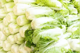 挑选白菜时，商贩最怕你看这个地方，好坏白菜一眼就能看出来