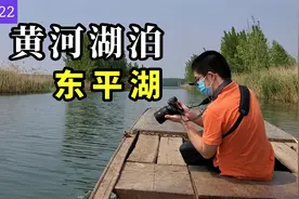 山东东平湖，原来的水泊梁山，黄河下游唯一的天然湖泊，太美了视频封面