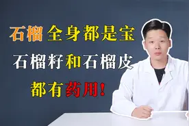 石榴全身都是宝，石榴籽和石榴皮都有药用！视频封面