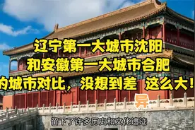 辽宁第一大市沈阳和安徽第一大市合肥的城对比，差异居然这么大！视频封面
