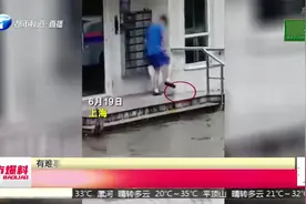 残忍！上海男子踩死小猫，小猫满地打滚，居民已报警