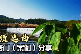 隔三岔五有人问，你的视频音乐那么好！是如何选的？小窍门分享。视频封面