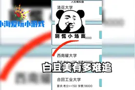 热门游戏解说 《人生模拟器》 游戏解说视频封面