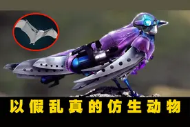 逼真！栩栩如生，6个最逆天的仿生动物视频封面