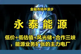 低价+低估值+风光储+合作三峡，能源业务扩张的主力电厂视频封面