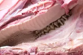 酱牛头内惊现“虫卵”！庖丁解牛头，惹人嫌的“白疙瘩”是何物？视频封面