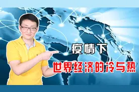 疫情带来的冲击，暴露了各国危机应对能力，国家和行业都出现分化