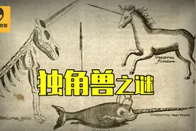 独角兽真的存在？马可波罗发现了神秘的独角兽，结果却是...视频封面