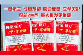 树荣怪刀2甲·草甘膦除草剂果园茶园荒地灭生性除草剂视频封面