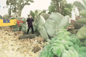 福建有多大，你们知道吗？视频封面