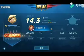 QQ区30星局金牌虞姬14.3评分实力带飞，请大佬们指教