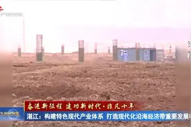 湛江：构建特色现代产业体系 打造现代化沿海经济带重要发展极视频封面