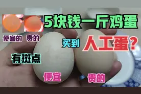 打假菜市场最便宜鸡蛋，这鸡蛋也太假了吧，这难道是人工蛋？视频封面