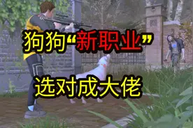 明日之后：狗狗“新职业”哪个最强？三分钟看懂，教你快速培养！